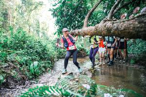 BIB: 
                            <button type="button" onclick="openModal(25475412)" class="btn btn-primary btn-sm float-right btn-popup" data-toggle="modal" data-target=".modal-high-quality">
                        <i class="fas fa-shopping-cart"></i> Add to Cart
                    </button>
                                            <button type="button" onclick="isThisMe(25475412, true)" class="btn btn-success btn-sm float-right btn-popup btn-isme hidden" data-toggle="tooltip" data-placement="bottom" title="นี่คือรูปของคุณใช่ไหม คลิกที่นี่เพื่อเอาเข้าอัลบั้ม">
                        <i class="fas fa-plus"></i> Add to album
                    </button>
                    <button type="button" onclick="isThisMe(25475412, false)" class="btn btn-warning btn-sm float-right btn-popup btn-isnotme hidden">
                        <i class="fas fa-ban"></i> Remove from album
                    </button>